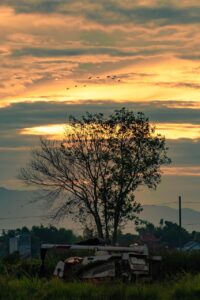 pmフリーランスが案件を効率的に探す方法は？