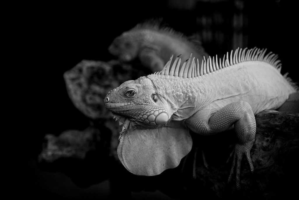 フリーランスポートフォリオを作成する際に気を付けるべきポイントは？