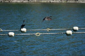 seフリーランスとして成功するための個人事業主の心得は？