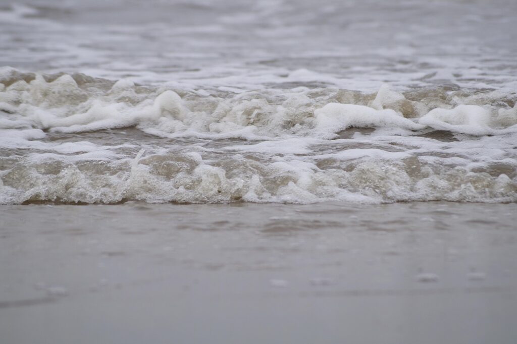 独立SEが挑戦するネットワーク構築案件の魅力とは？