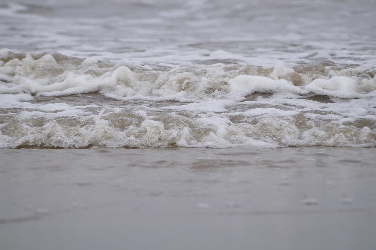 独立SEが挑戦するネットワーク構築案件の魅力とは？