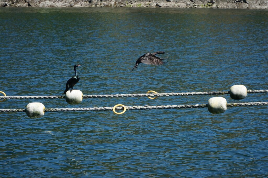 SE副業で週1の案件を効率よく見つける方法は？