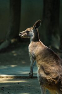 フリーランスの副業で失敗しないための対策は？